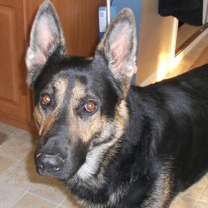 Meet your Posher, Tamara